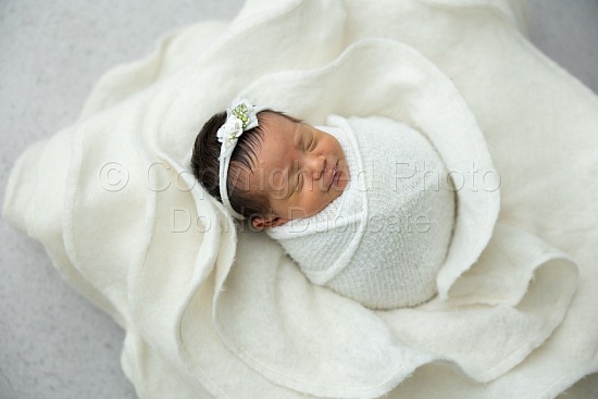Nina - Newborn