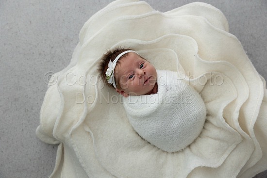 Amanda - Zoe - Newborn